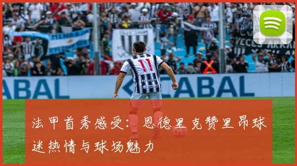 法甲首秀感受：恩德里克赞里昂球迷热情与球场魅力