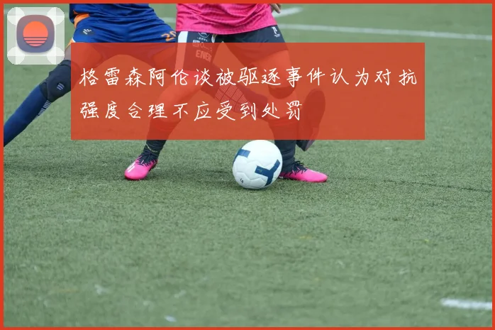 格雷森阿伦谈被驱逐事件认为对抗强度合理不应受到处罚