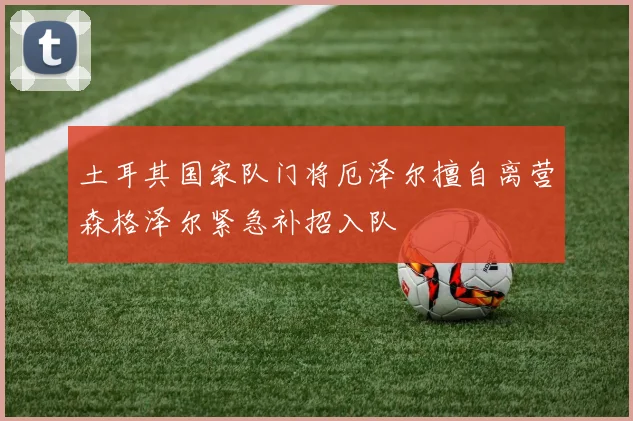 土耳其国家队门将厄泽尔擅自离营森格泽尔紧急补招入队
