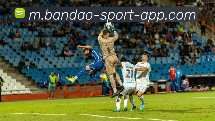 半岛体育APP 高清赛事图